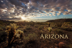 Arizona
