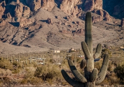 Arizona-14