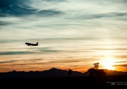 Next Plane Out