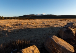 Arizona-21