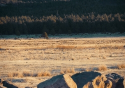 San Francisco Peaks