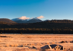 Arizona-23