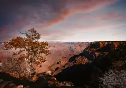 Grand Canyon in Technicolor