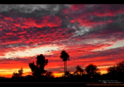 Fire in the Sky