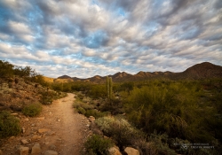 Lost Dog Trail Lost Dog Trail