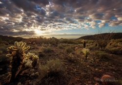 Good Morning, Scottsdale Good Morning, Scottsdale
