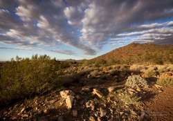 Arizona-34 Arizona-34