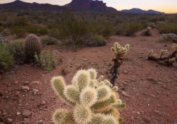 Arizona-38 Arizona-38