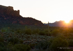 Arizona-39 Arizona-39