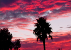 Arizona Fire Arizona Fire