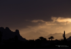 Arizona-44 Arizona-44
