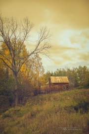 Autumn-107