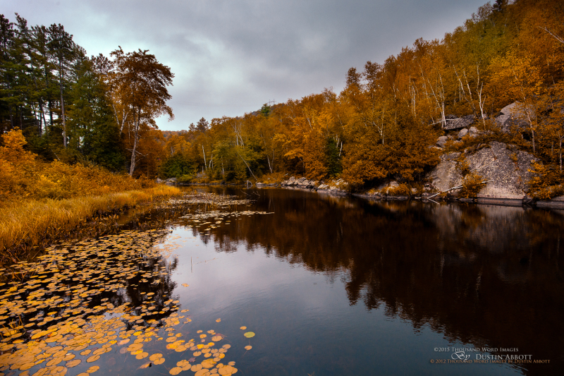 Autumn-11