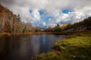 Autumn-110