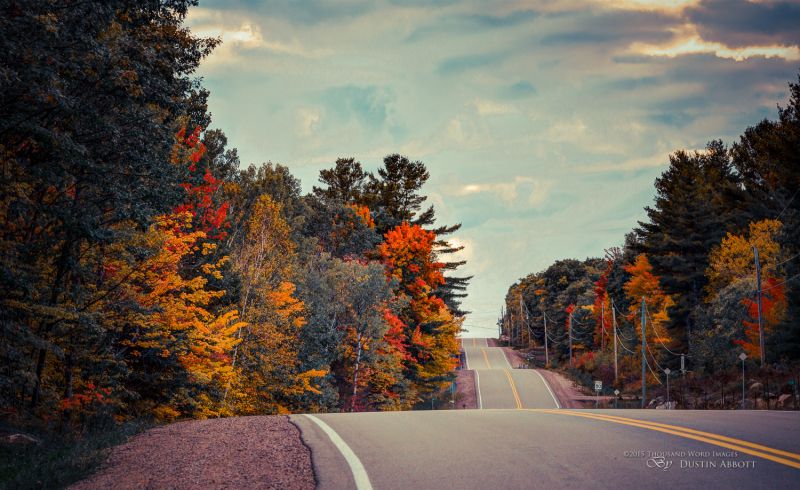 Autumn-16