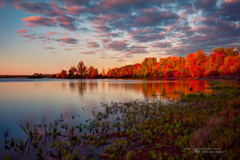 Autumn-17
