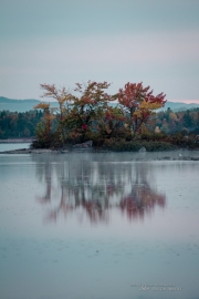 Autumn-20