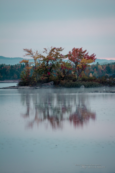 Autumn-20