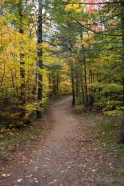 Autumn-29