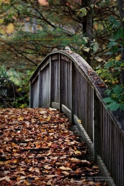 Bridge to Your Heart