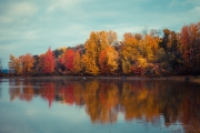 Autumn-30