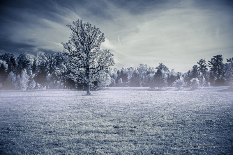 Autumn-31