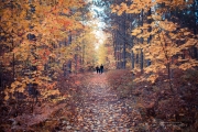Autumn-33