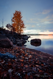 Autumn-34