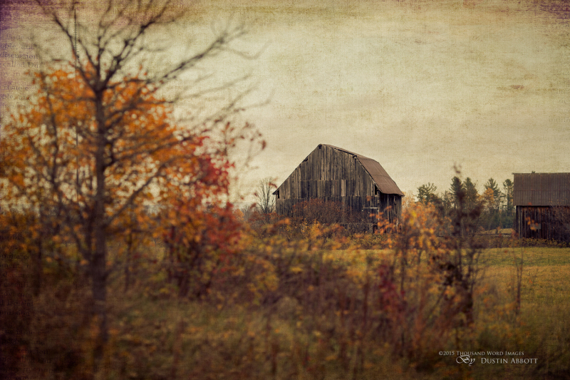 Autumn-44