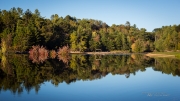 Autumn-57