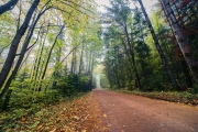 Autumn-60