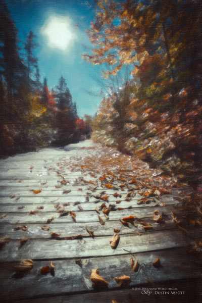 Autumn-63