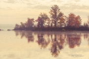 Autumn-66