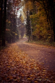 Autumn-68