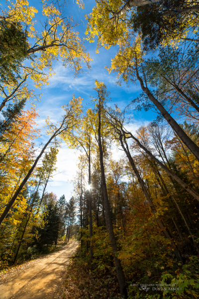 Autumn-70