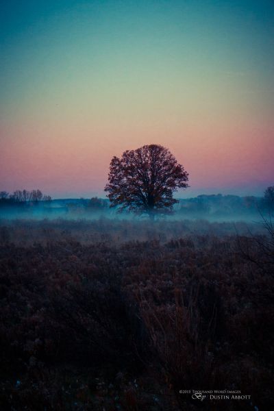 Transition