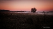 Cold was the Dawn