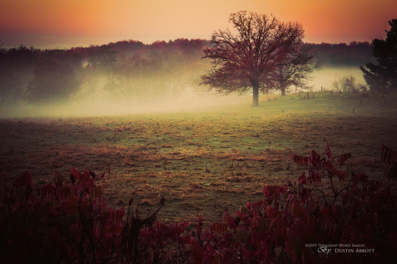 Brushstrokes of Autumn