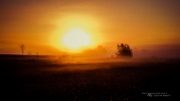 (EOS) M is for Morning