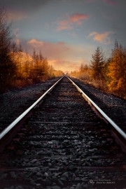Autumn-81