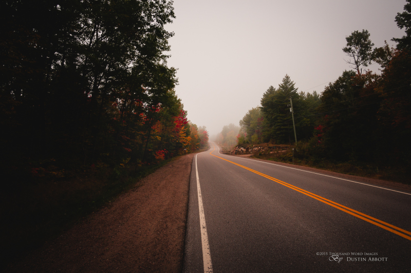 Autumn-88