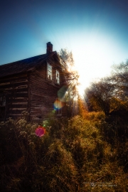 Autumn-93