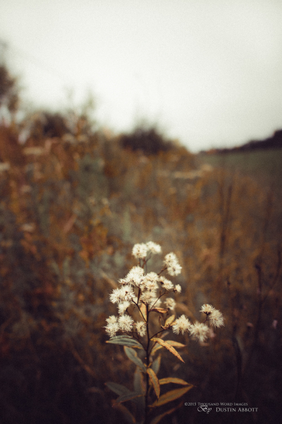 Autumn-94