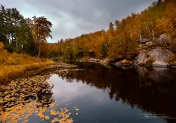 Autumn-11
