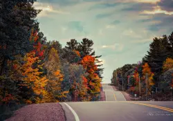 Autumn-16