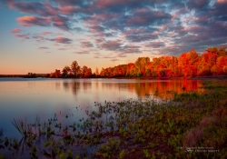 Autumn-17