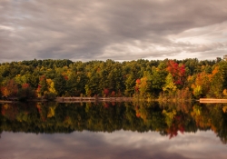 Autumn-18