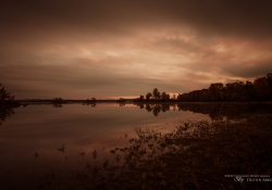 Ochre Dawn