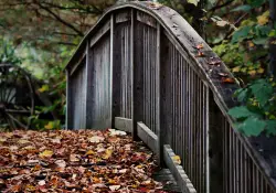 Bridge to Your Heart