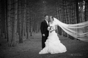 Past the Veil